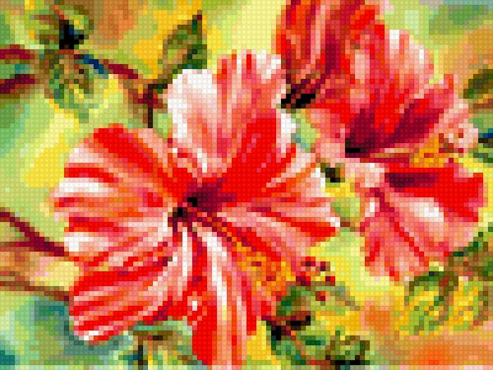 Цветы - предпросмотр