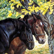 Схема вышивки «лошади»