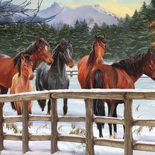 Схема вышивки «лошади»