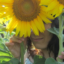 Схема вышивки «девушка в подсолнухах»