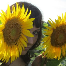 Схема вышивки «девушка в подсолнухах»