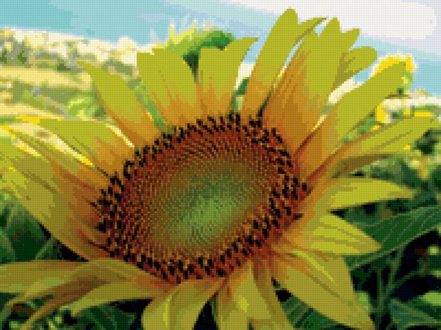 подсолнухи - подушка, панно, цветы - предпросмотр