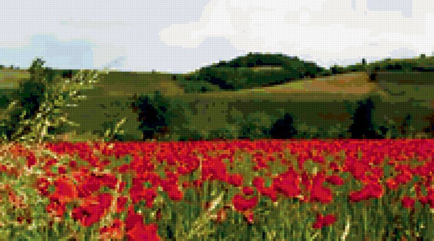 маки - панно, подушка, цветы, природа, пейзаж - предпросмотр