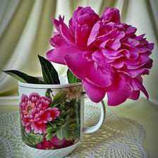 Схема вышивки «пион»