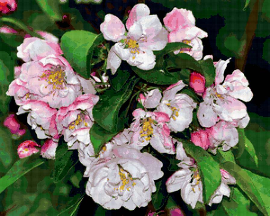 весна - сады, природа, цветы, весна - предпросмотр