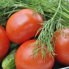 Схема вышивки «натюрморт на кухню»