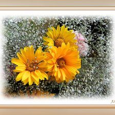 Схема вышивки «№333994»