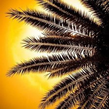 Схема вышивки «Багамы»