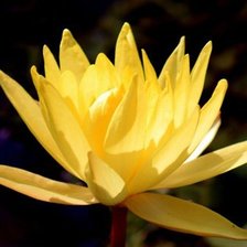 Схема вышивки «№334120»