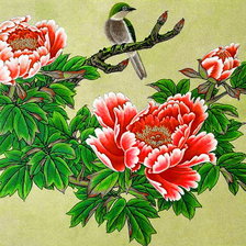 китайский древесный пион и птица