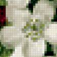 Предпросмотр схемы вышивки «№334465»