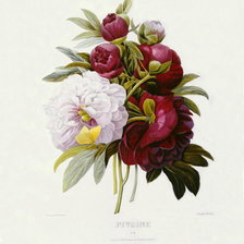 Схема вышивки «№334466»