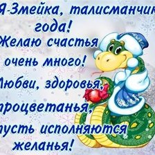 Схема вышивки «символ 2013 года»