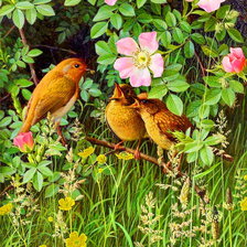 Схема вышивки «птичья семья»