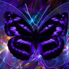 Схема вышивки «бабочка»