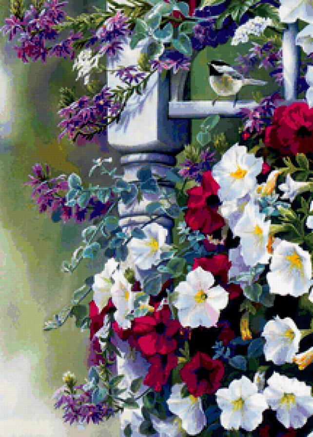 синичка и вьюнок - цветы, птицы, вьюнок - предпросмотр