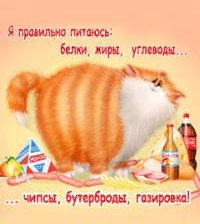 Схема вышивки «кот»