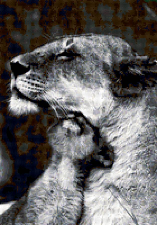 Мама - львенок, львица, дети - предпросмотр