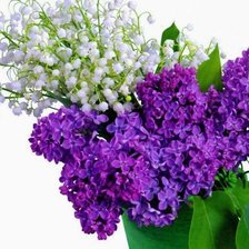 Схема вышивки «№334743»