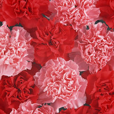 Схема вышивки «№334749»