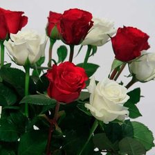 Схема вышивки «№334750»