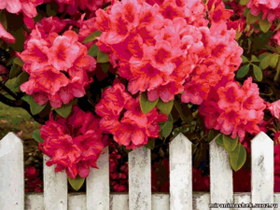 №334759 - предпросмотр