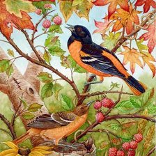 Схема вышивки «Птицы»