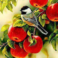 Схема вышивки «яблоки»