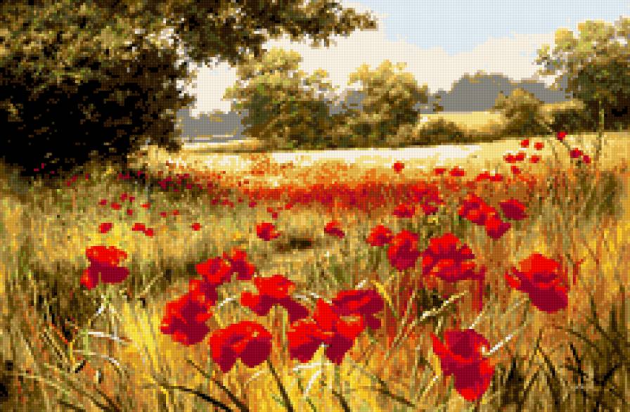 Маковое поле.Вариант  2 - луговые цветы, пейзаж - предпросмотр