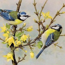 Схема вышивки «Птицы»