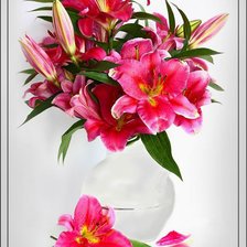 Схема вышивки «лилии»