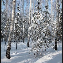 Схема вышивки «зима»
