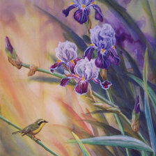 Схема вышивки «ирисы»