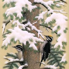 Схема вышивки «№335164»