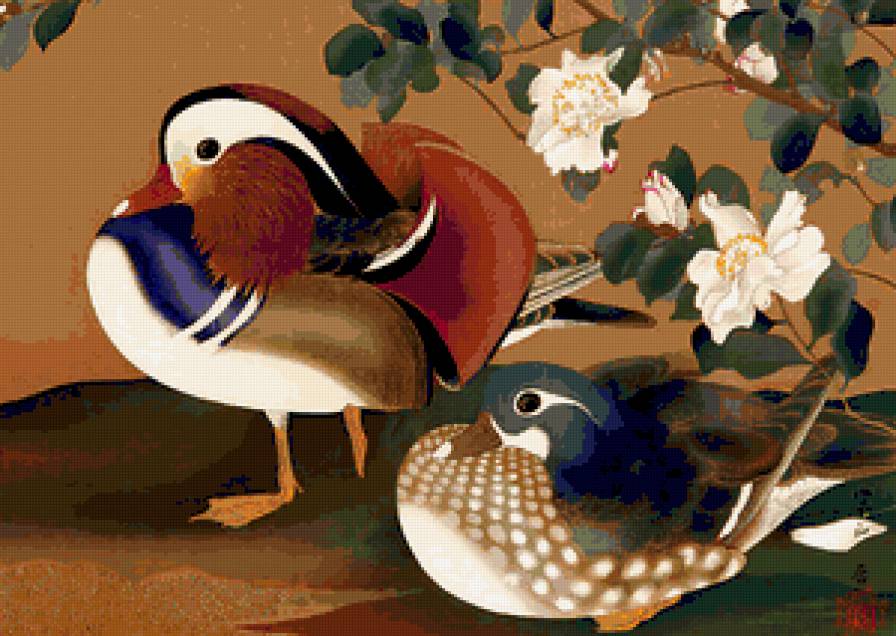 мандаринки - птицы - предпросмотр