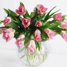 Схема вышивки «тюльпаны»