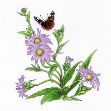 Схема вышивки «№335219»