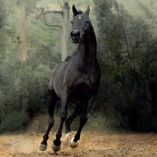 Схема вышивки «Лошадь»