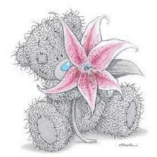 Схема вышивки «Тедди»