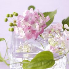 Схема вышивки «цветы»