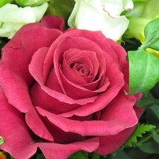 Схема вышивки «роза»