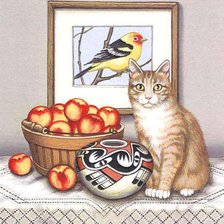 Схема вышивки «натюрморт с котом»