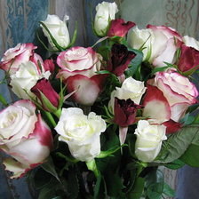 Схема вышивки «№335314»