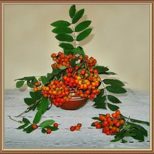 Схема вышивки «рябина»