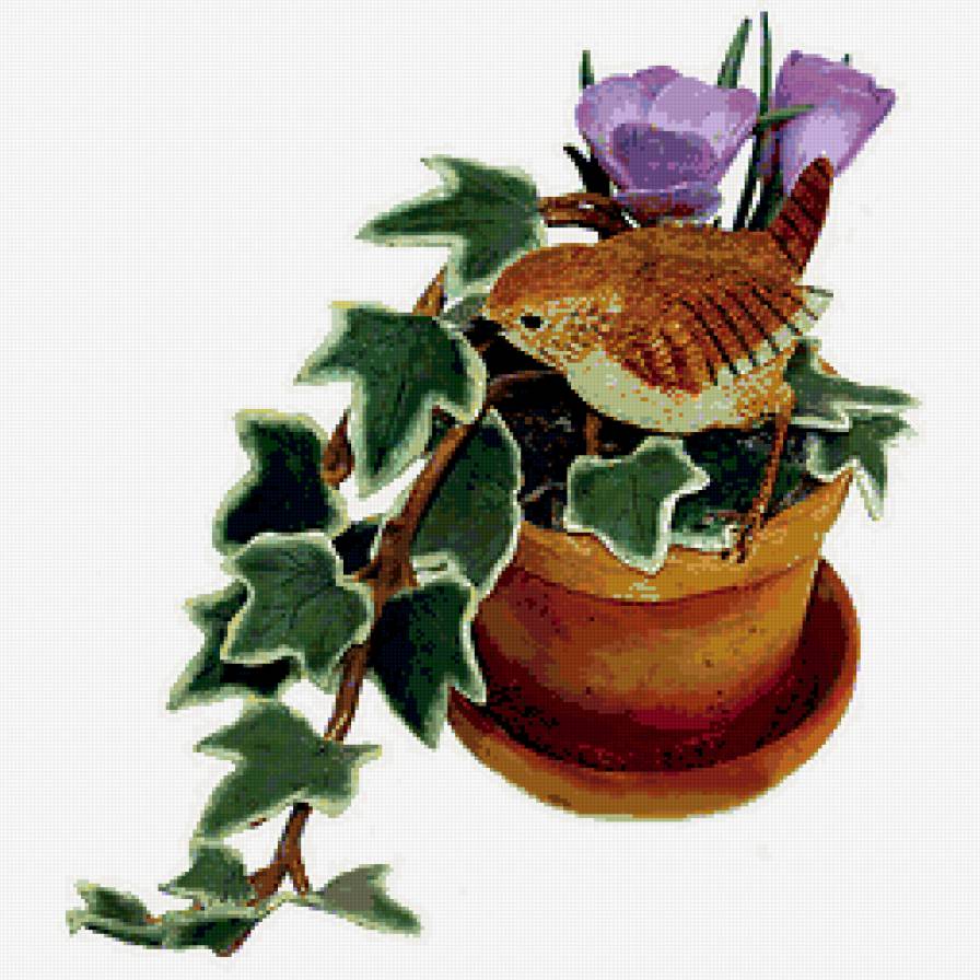 Пташки - пернатые, красота - предпросмотр