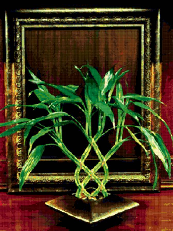 Бамбук - цветы, красота для прихожей - предпросмотр