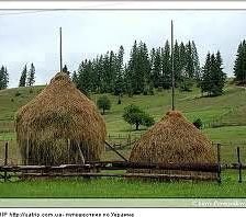 Схема вышивки «пейзаж»