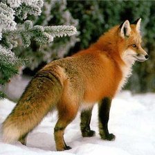 Схема вышивки «зима»