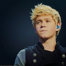 Схема вышивки «найл хоран»