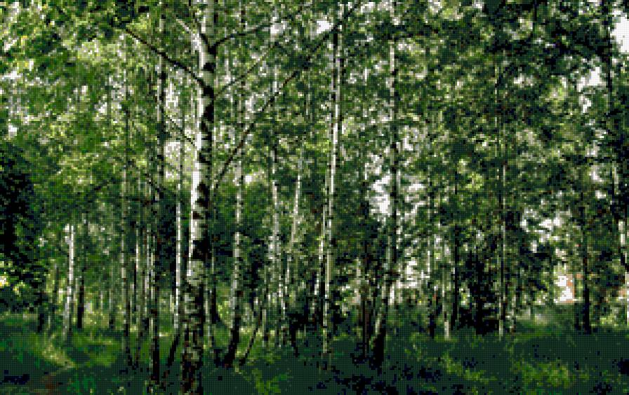 край родной - пейзаж, природа, деревья, лето, березы - предпросмотр